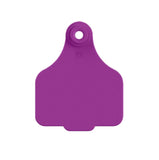 Large Female Tag & Male Button