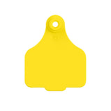 Large Logo Tag & Male Button