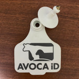 Large Logo Tag & Male Button