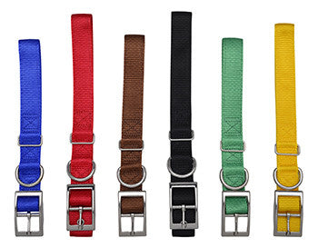 Dog Collars