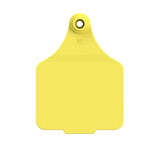 Double Sided Maxi Logo Tag & Male Button or Keyring