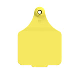 Maxi Customised Name Tag & Male Button