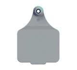 Double Sided Maxi Logo Tag & Male Button or Keyring