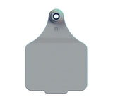 Maxi Customised Name Tag & Male Button