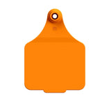 Maxi Customised Name Tag & Male Button