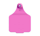 Maxi Customised Name Tag & Male Button