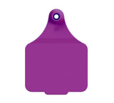 Maxi Customised Name Tag & Male Button