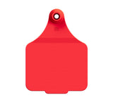Maxi Logo Tag & Male Button