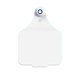Double Sided Maxi Logo Tag & Male Button or Keyring