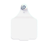 Maxi Customised Name Tag & Male Button
