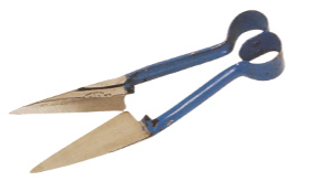 Mulesing Shears