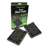 Bainbridge Glue Traps and Glue Boards