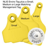 Cattle NLIS Tag & Matching Management Tag (SA Levy)