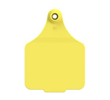 Double Sided Maxi Logo Tag & Male Button