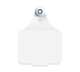 Double Sided Maxi Logo Tag & Male Button