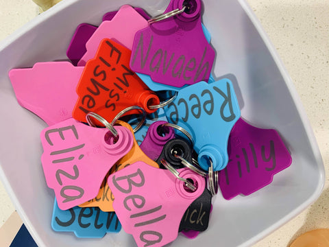 Coloured tags with different names on them.